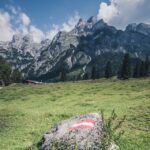 Unterstützungsangebote in Österreichs Bundesländern