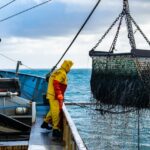 Im Netz der Ausbeutung: Zwangsarbeit in der Fischerei 