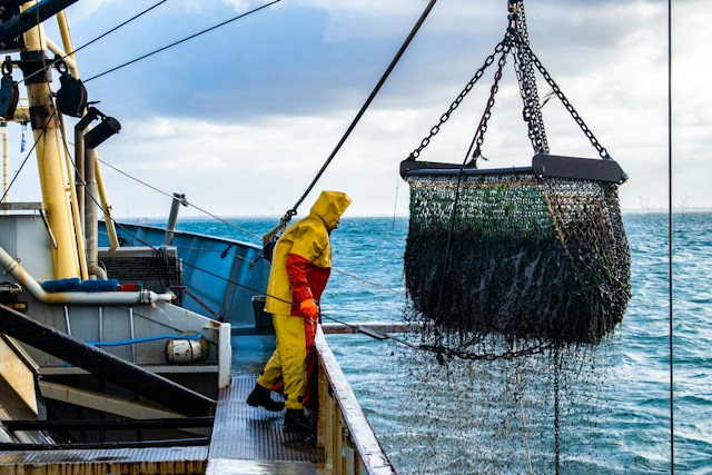 In the Net of Exploitation: Forced Labour in Fishing - Hope for the Future
